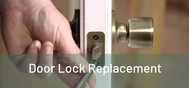  Door Lock Replacement 